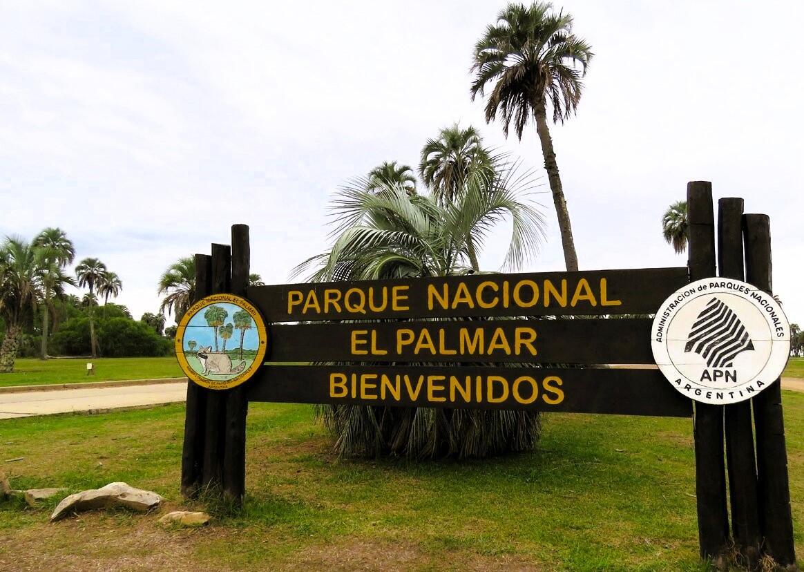 A Scenic Drive Through Yatay Palm Trees 1